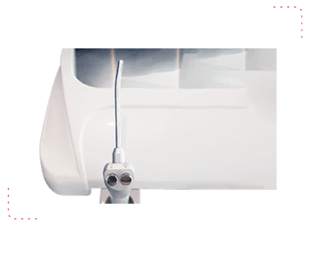 Seringa-Triplice